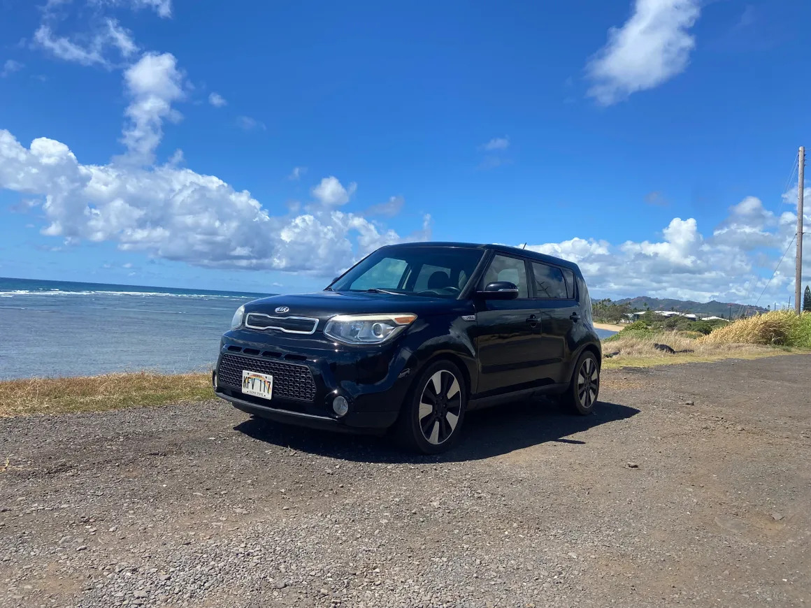 Travel With Pets In Hawaii Rental Car